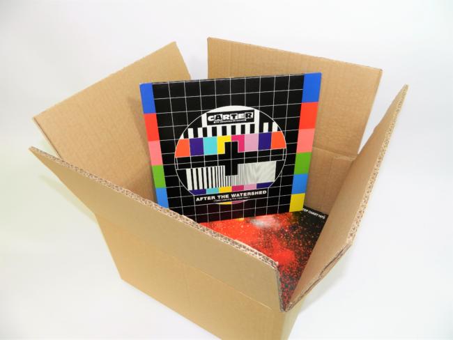 50 Vinyl Box Double wall box holding vinyl records