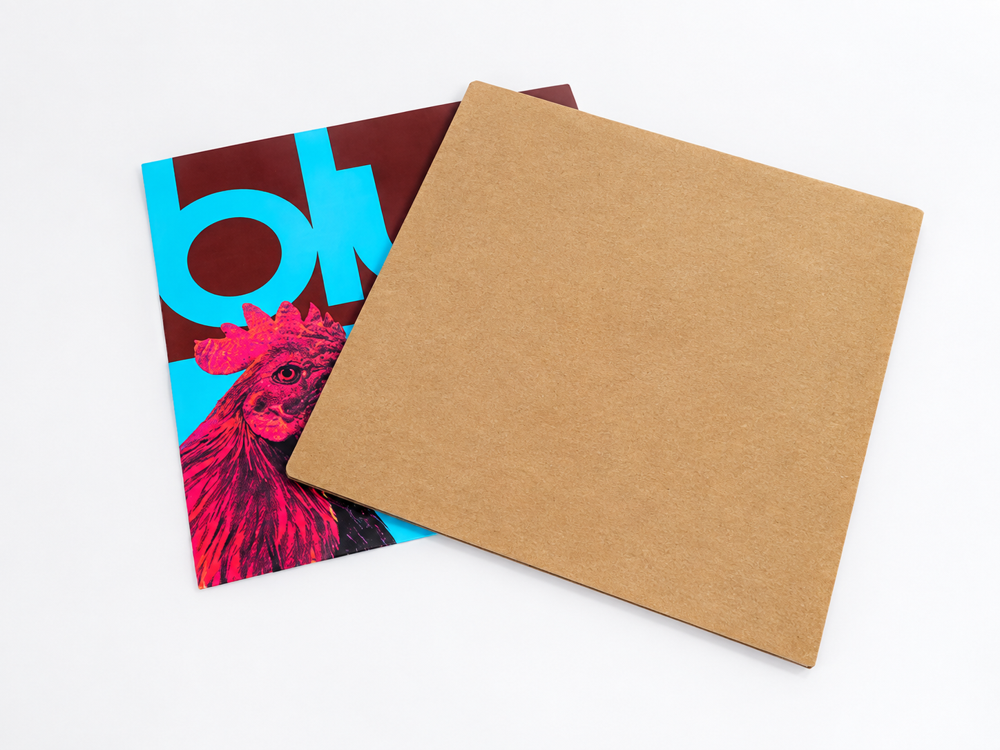 Vinyl Record Stiffeners (50 Per Pack)