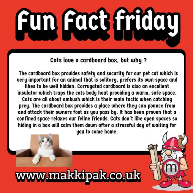 Instagram Fun Fact Friday 24.10