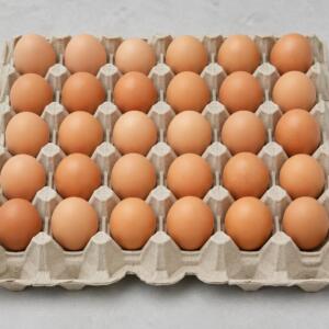 Egg Trays (140 trays / 4200 eggs)